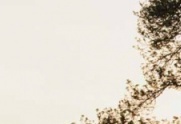 Oferta